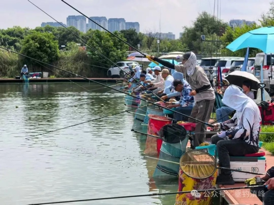 Go, 钓精英赛, 站赛